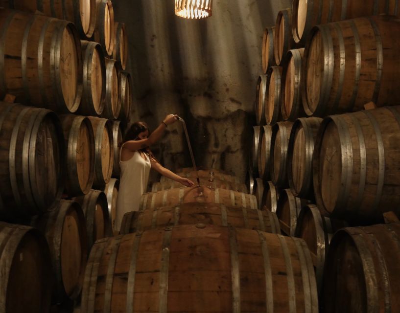 Douro Valley: Winery Tour at Quinta do Tedo and Tastings - Practicalities: meeting point, languages, and what to plan for