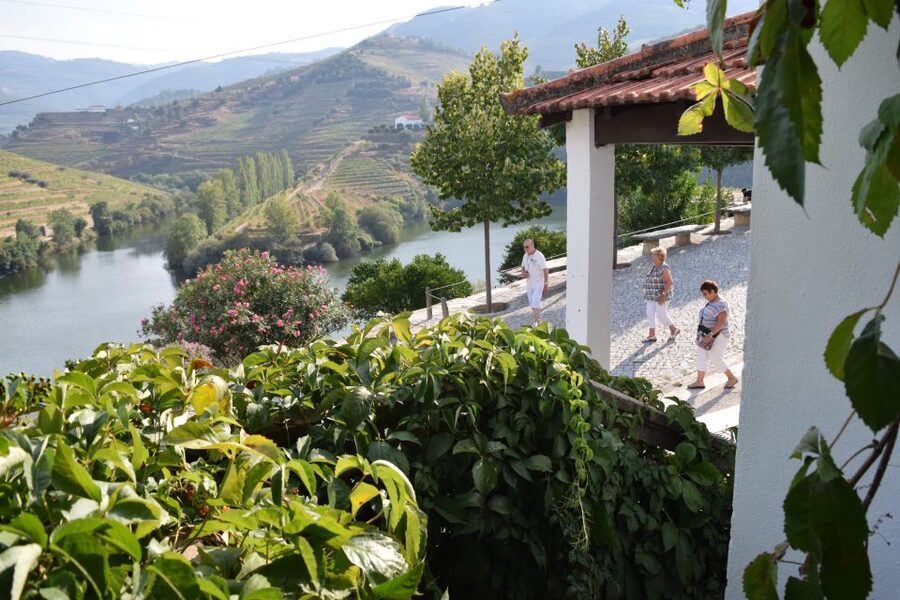 Douro Valley: Winery Tour at Quinta do Tedo and Tastings - Is this $42 per person a good deal?
