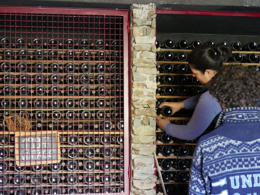 Douro Valley: Winery Tour at Quinta do Tedo and Tastings - Who this tour is best for (and who should skip it)