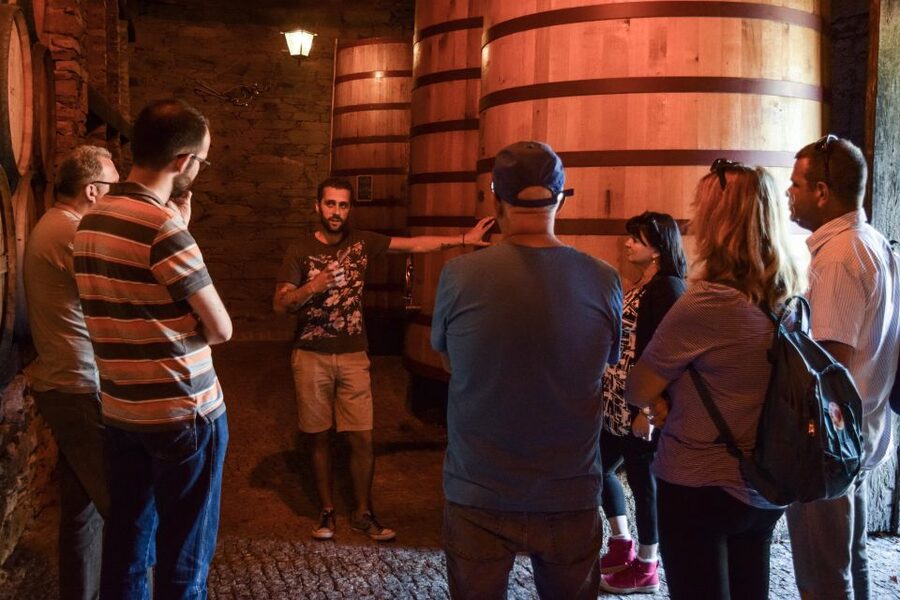 Douro Valley: Winery Tour at Quinta do Tedo and Tastings - Should you book Quinta do Tedo?