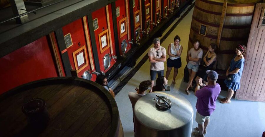 Douro Valley: Winery Tour at Quinta do Tedo and Tastings - Touring the estate: what you’ll see before you taste