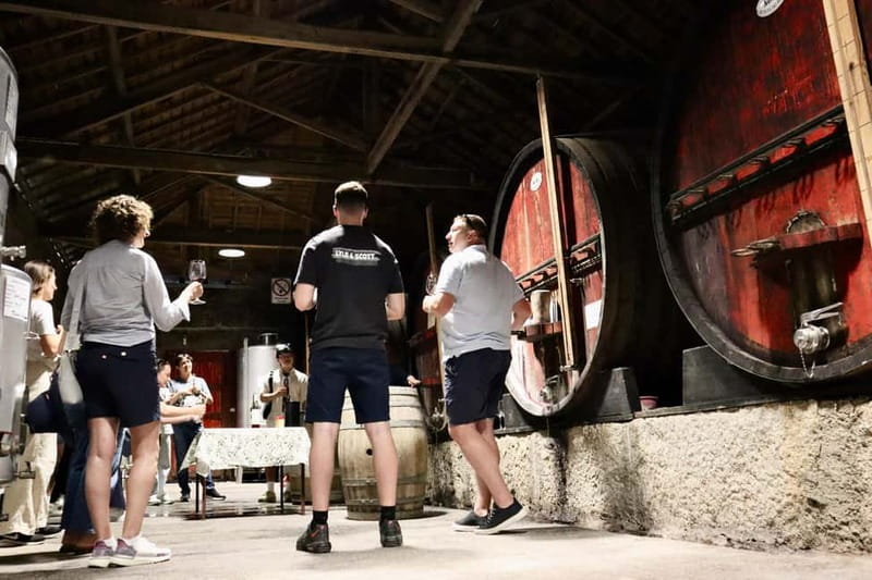 Douro Valley: Winery, Traditional Lunch & Private Boat Trip - A Few Real-World Details That Improve the Experience