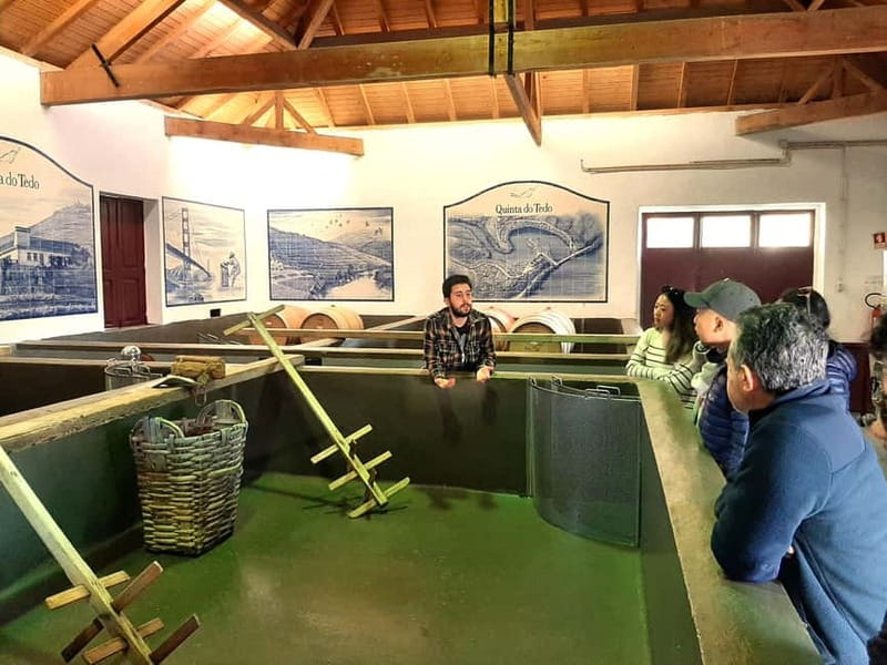 Douro Valley: Winery, Traditional Lunch & Private Boat Trip - Lunch at a Farm With Fire-Cooked Portuguese Comfort