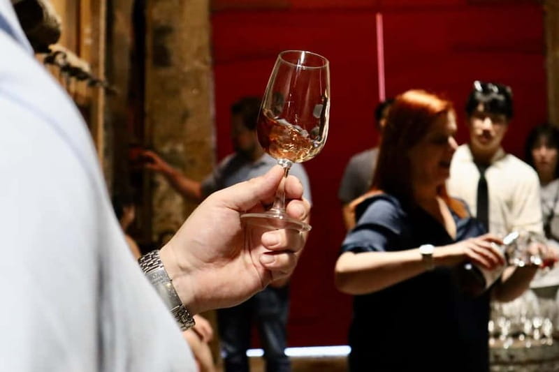 Douro Valley: Winery, Traditional Lunch & Private Boat Trip - The 9-Hour Schedule, Explained Like You’re Planning Your Day