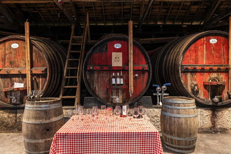 Douro Valley: Winery, Traditional Lunch & Private Boat Trip - Who This Tour Fits Best, and Who Might Want Something Else