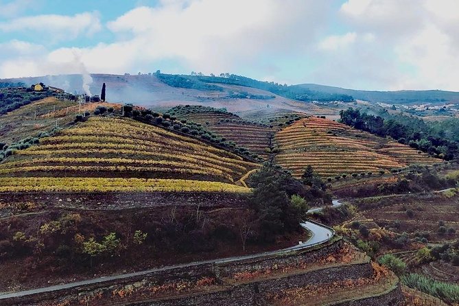 Douro Valley with Two Winery, Boat Trip and Lunch From Porto - Key things you will notice on this Douro Valley day