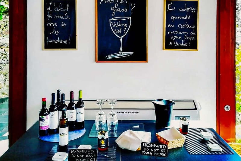 Douro Valley with Two Winery, Boat Trip and Lunch From Porto - Guides, group energy, and what to ask when you get on board