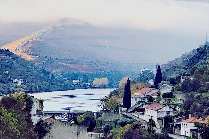 Douro Valley with Two Winery, Boat Trip and Lunch From Porto - Winery stop number one: Port tasting that sets the stage