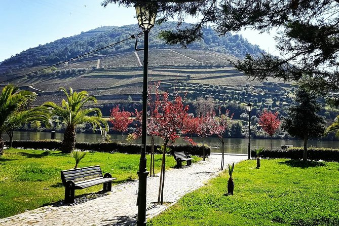 Douro Valley with Two Winery, Boat Trip and Lunch From Porto - The rabelo boat cruise: terraced vineyards from the water