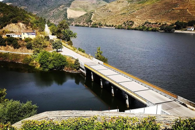 Douro Valley with Two Winery, Boat Trip and Lunch From Porto - Winery stop two in Pinhão area: wine plus the olive oil museum tasting