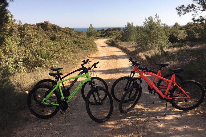 E-Bike Tour: Sete Vales Suspensos Trail (Marinha and Benagil) - Your Bosch E-Bike and the Small-Group Setup