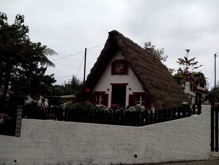 Eastern Madeira: Full-Day Tour with Rum Tasting - Ribeiro Frio and the laurel forest mood at Balcões