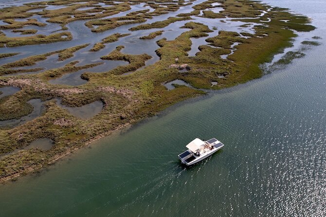 Eco Boat Tour in the Ria Formosa Lagoon from Faro - Where you board in Faro, and how check-in affects your day
