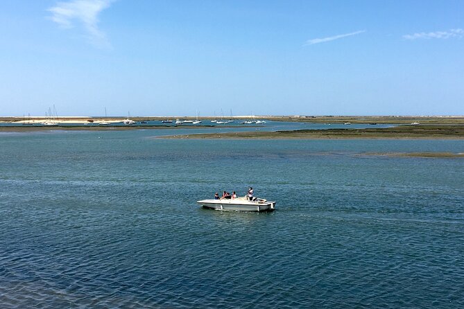 Eco Boat Tour in the Ria Formosa Lagoon from Faro - Birds and wildlife: how to get better sightings in real life