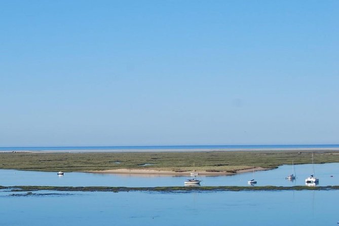 Eco Boat Tour in the Ria Formosa Lagoon from Faro - The guide makes it: Luis, Andre, Manuel, Iris, and the storytelling style