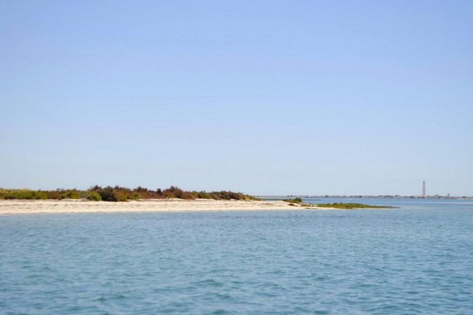 Eco Boat Tour in the Ria Formosa Lagoon from Faro - Who should book this eco boat tour from Faro?