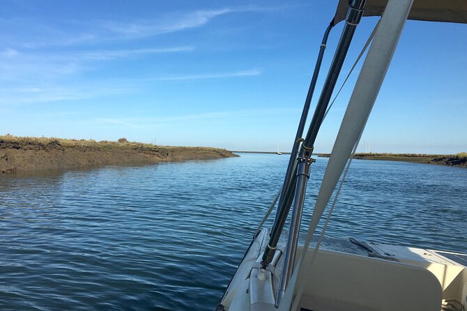 Eco Boat Tour in the Ria Formosa Lagoon from Faro - The 1-hour loop through Ria Formosa: what to expect on the water