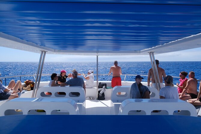 Eco-Friendly Catamaran Dolphin and Whale Watching - Key Things You’ll Notice on This Madeira Dolphin and Whale Cruise