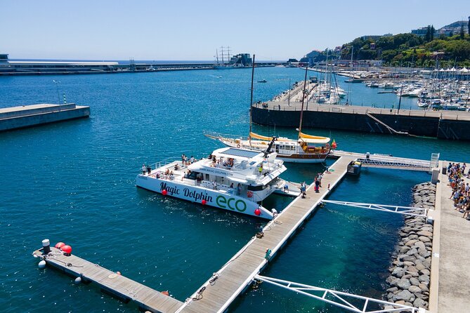 Eco-Friendly Catamaran Dolphin and Whale Watching - Cabo Girão and the South Coast Stops You’ll Actually Remember