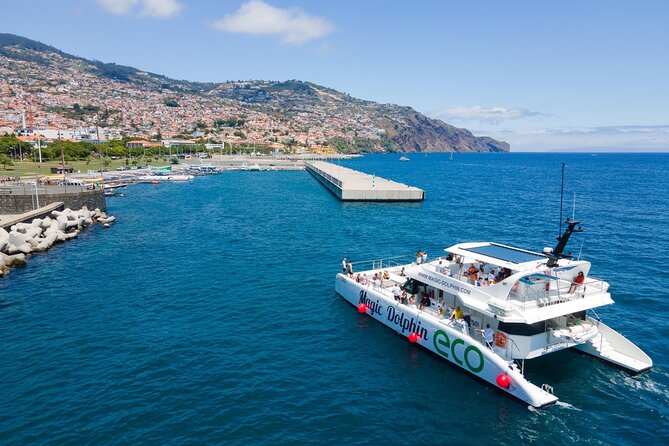 Eco-Friendly Catamaran Dolphin and Whale Watching - The Onboard Bar: What’s Included, What You Pay For