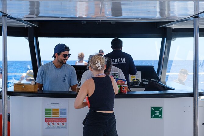 Eco-Friendly Catamaran Dolphin and Whale Watching - Making the Most of a 2.5 to 3-Hour Wildlife Window