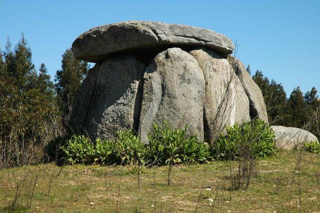 Évora and Megaliths Full-Day Tour from Lisbon - Small-group dynamics and guides like Nuno, Diogo, Tiago, and João