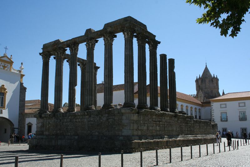 Évora and Megaliths Full-Day Tour from Lisbon - Cork oak countryside, learning how Portugal harvests cork