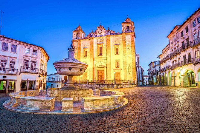 Évora: Private walking tour with tickets to main monuments - Pacing, comfort, and who this private format suits best