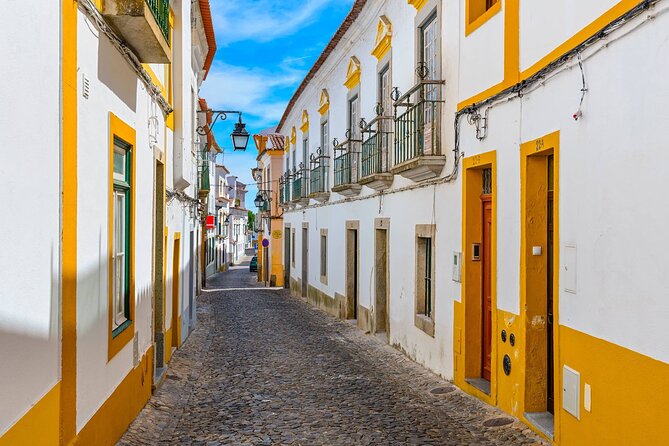 Évora: Private walking tour with tickets to main monuments - Should you book the Évora private walking tour?