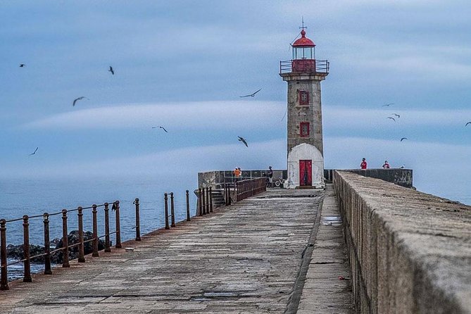 Experience Porto by Bike: 3-Hour Private Tour - City Park, Passeleira, and the river crossing that changes the mood