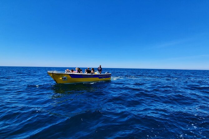 Express Tour - Benagil Cave - Crew and commentary: why guide style matters on short tours
