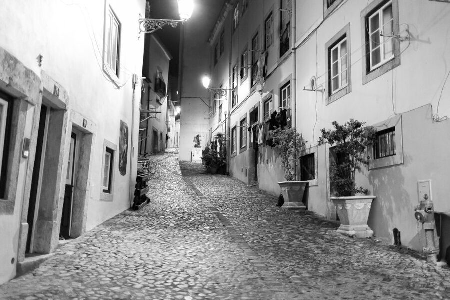 Fado: Musical Walking Tour with Food & Live Show - The Alfama Meal: Caldo Verde and Chouriço Assado, Plus Wine