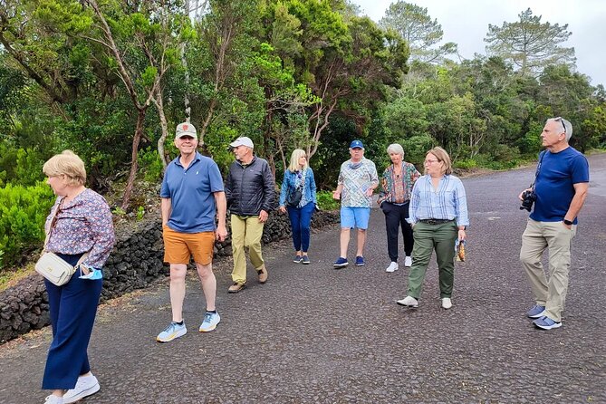 Faial Island: Full Day Tour – Nature and Local Culture - What This Tour Costs, and Why It Can Still Be a Good Value