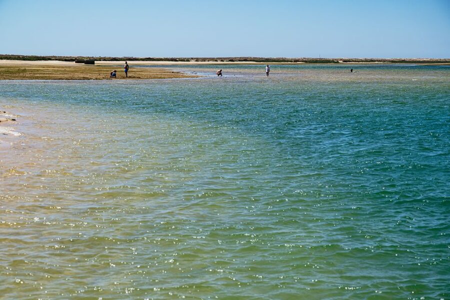 Faro: Deserta Island and Farol Island Catamaran Boat Trip - Price and Value: Why $47 Feels Fair for What You Get