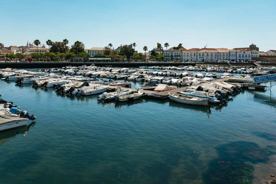 Faro: Deserta Island and Farol Island Catamaran Boat Trip - Ria Formosa Natural Park: The Birdlife Part You’ll Actually Remember