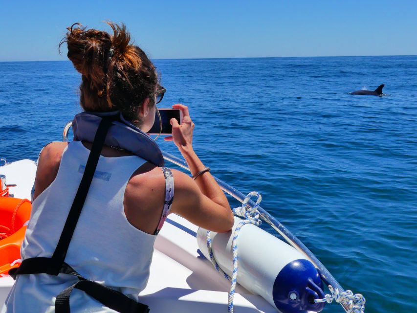 Faro: Dolphin and Wildlife Watching in the Atlantic Ocean - Ria Formosa crossing: barrier islands and marsh views before the hunt