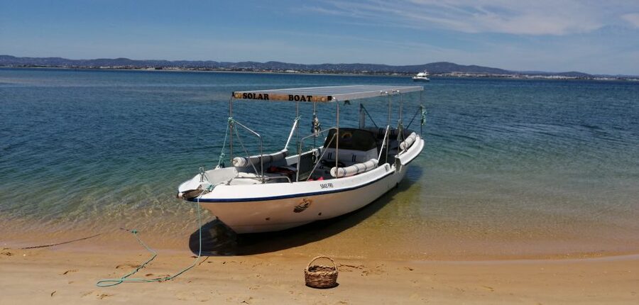 Faro: Eco-Friendly Ria Formosa Bird Watching in Solar Boat - Small group, real guide work, and why the binoculars matter