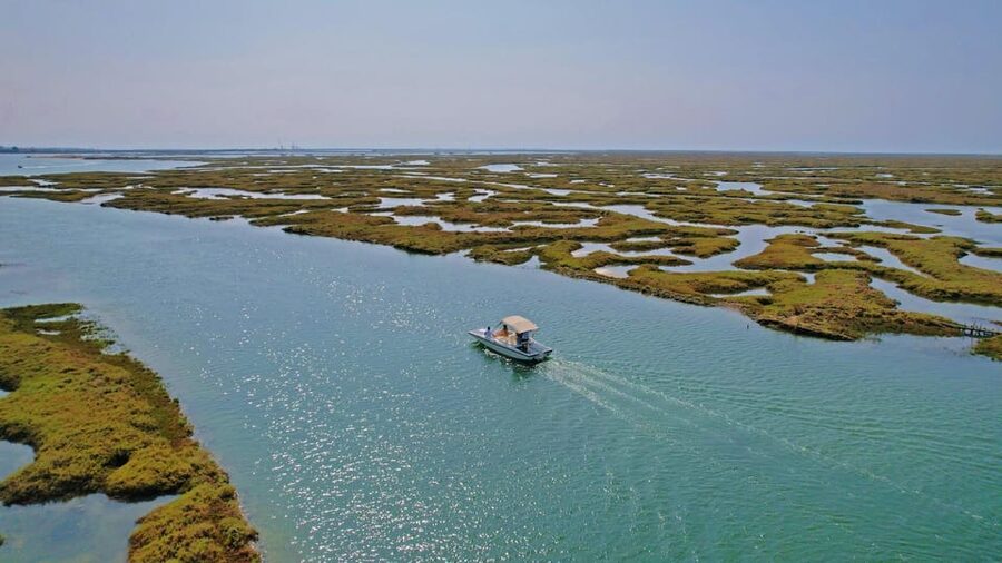 Faro: Ria Formosa Boat Tour by Eco-Friendly Solar Boat - The 1-hour loop on the water, from Marina of Faro to protected marshes
