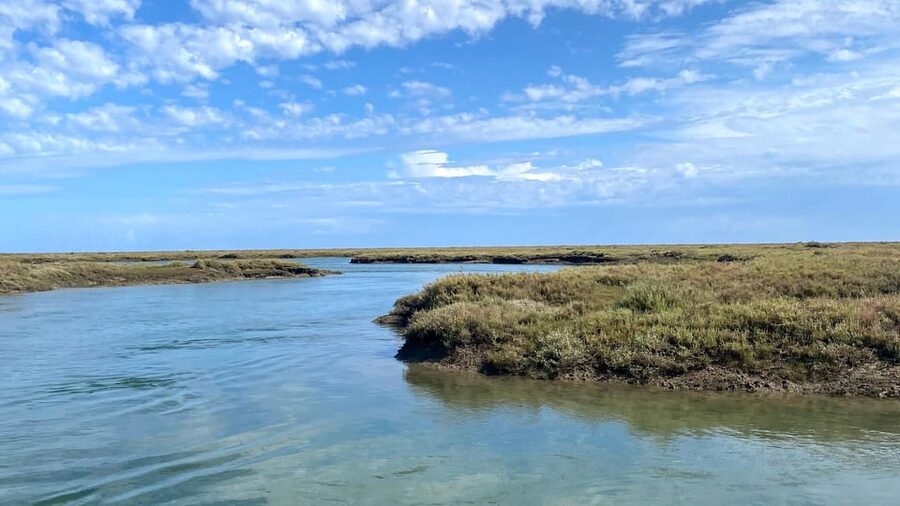 Faro: Ria Formosa Boat Tour by Eco-Friendly Solar Boat - Meet your guide on board, live commentary in Spanish, English, or Portuguese
