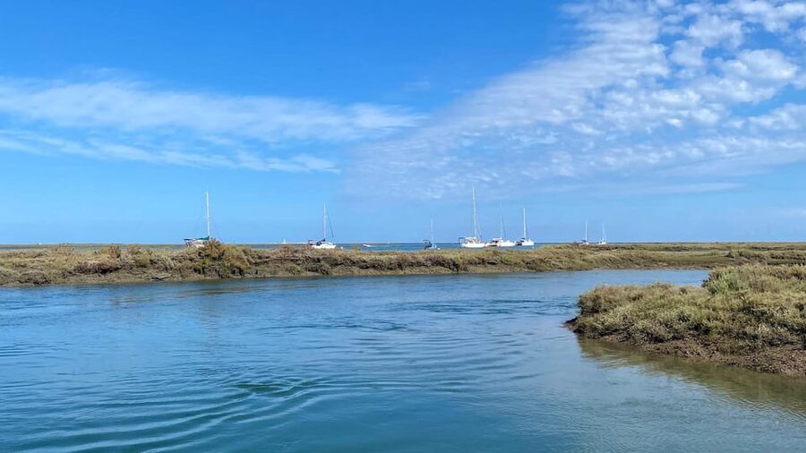 Faro: Ria Formosa Boat Tour by Eco-Friendly Solar Boat - Should you book this solar boat tour in Faro?