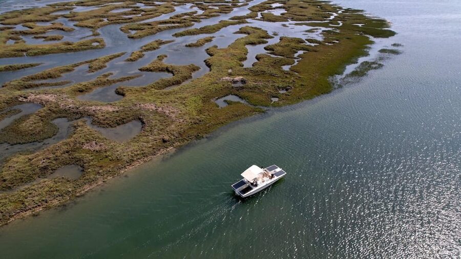 Faro: Ria Formosa Boat Tour by Eco-Friendly Solar Boat - What you spot on the marshlands cruise, birds, tides, and wildlife close-up
