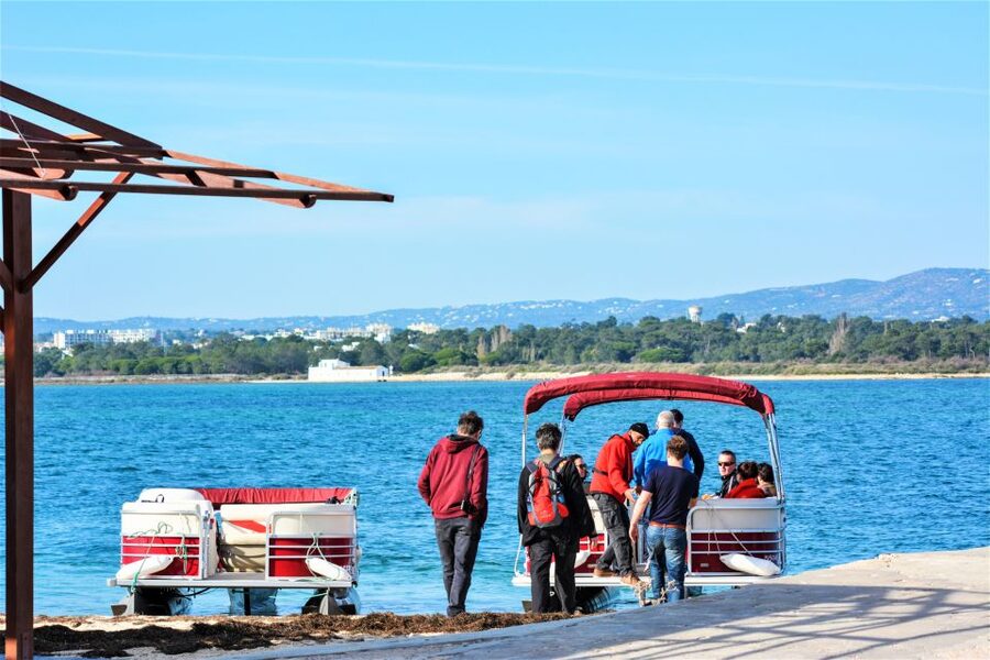 Faro: Ria Formosa Faro Islands Boat Tour - Faro to Ria Formosa: why this tour works better than hopping islands on your own