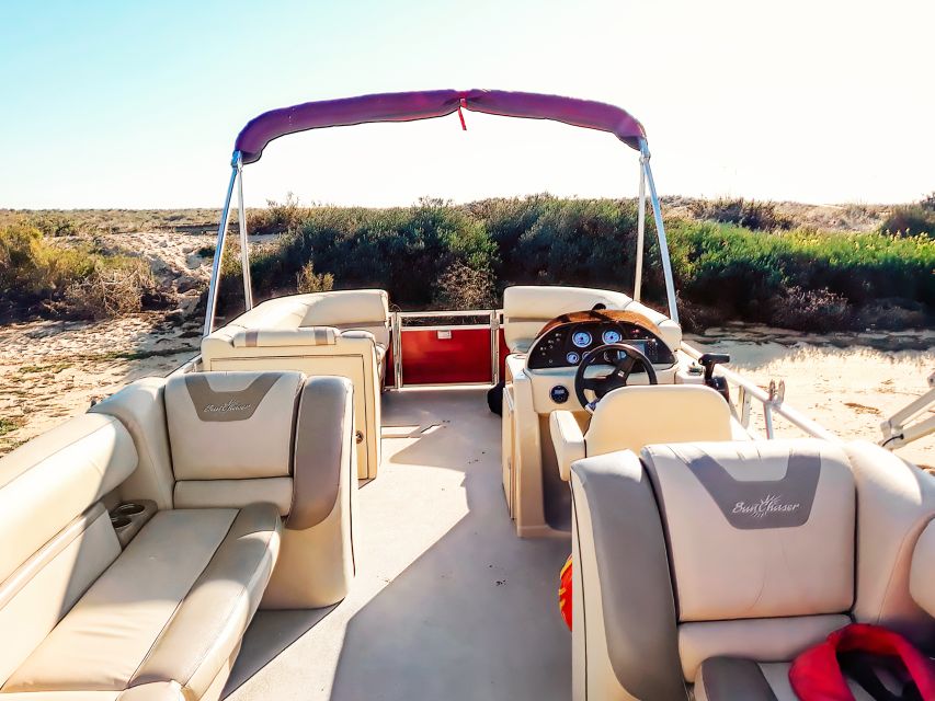 Faro: Ria Formosa Faro Islands Boat Tour - Cruising Ria Formosa channels: where the guide actually adds value
