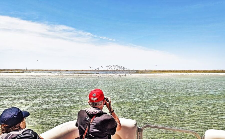 Faro: Ria Formosa Faro Islands Boat Tour - What to pack for Ria Formosa: the small stuff that saves your day