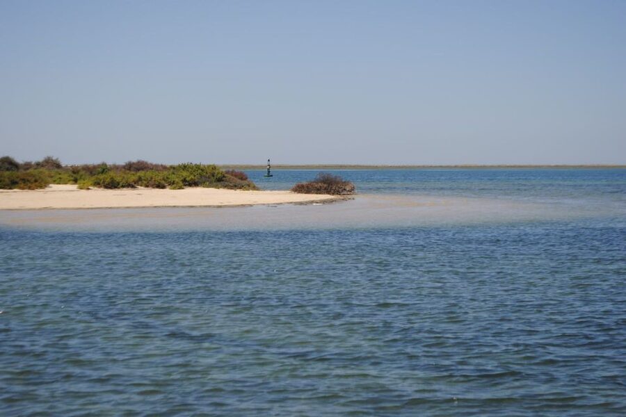 Faro: Ria Formosa Lagoon Small Boat Tour with Local Guide - Who This Tour Fits Best (and Who Should Rethink It)