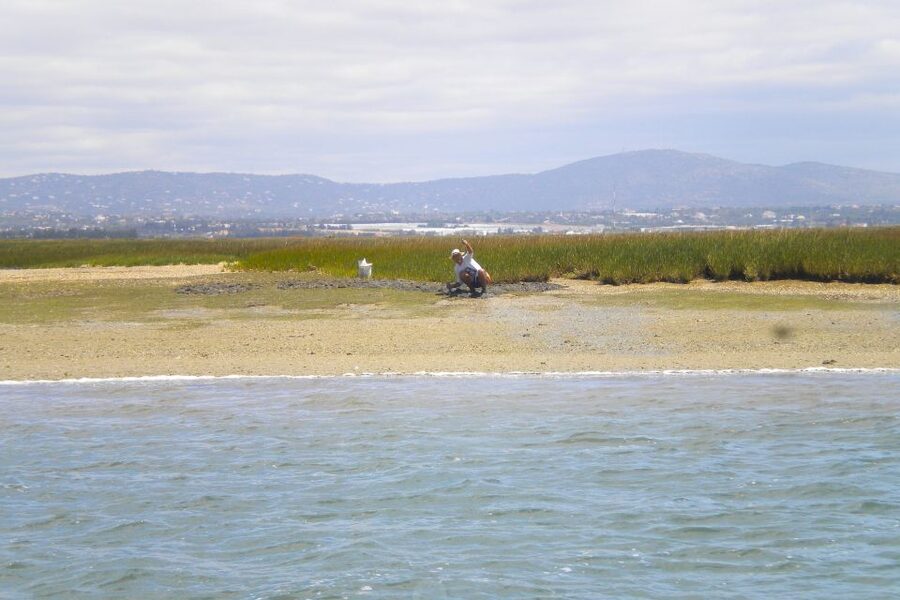 Faro: Ria Formosa Lagoon Small Boat Tour with Local Guide - Parque Natural da Ria Formosa, Marshes, Channels, and Bird Life