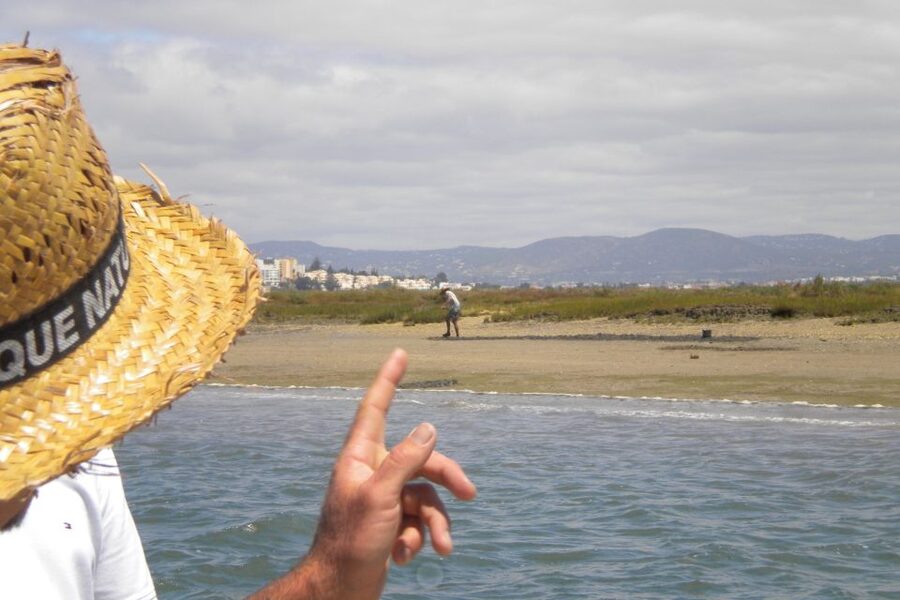 Faro: Ria Formosa Lagoon Small Boat Tour with Local Guide - Price and Value: Is $29 Fair for a 1-Hour Guided Boat?