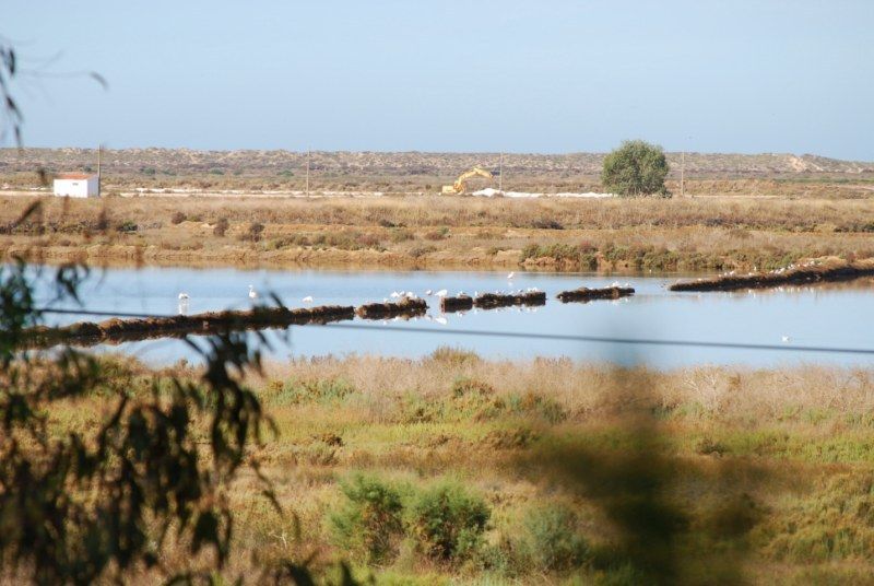 Faro: Ria Formosa Natural Park Segway Tour & Birdwatching - Segwaying through Ria Formosa: why it fits this park
