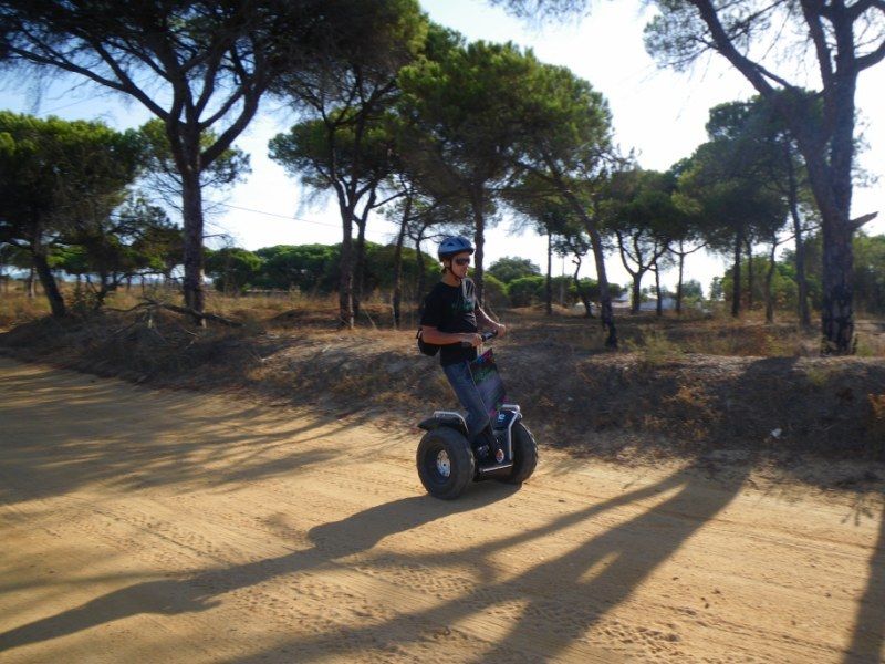 Faro: Ria Formosa Natural Park Segway Tour & Birdwatching - Birdwatching at Ludo: the migration factor (and the honest expectations)