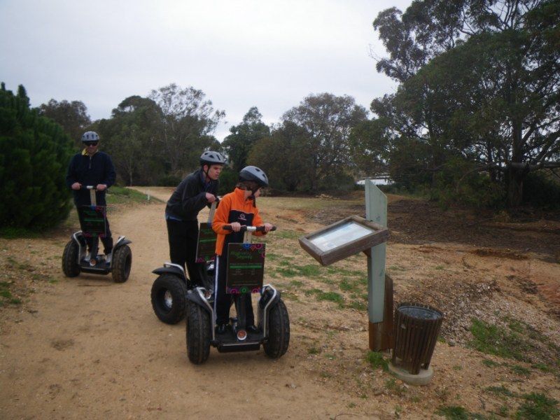 Faro: Ria Formosa Natural Park Segway Tour & Birdwatching - Gear and comfort: what is provided, what you should bring